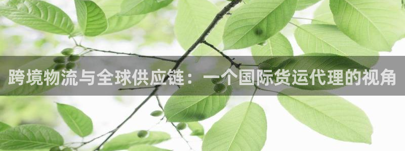 k豆钱包怎么买朋友的豆：跨境物流与全球供应链：一个国际货