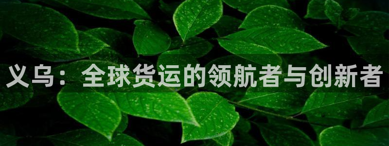k豆钱包和ag钱包哪个好用：义乌：全球货运的领航者与创新