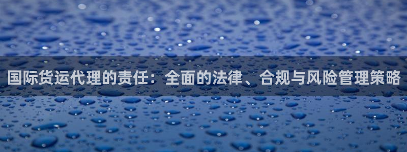 k豆钱包里：国际货运代理的责任：全面的法律、合规与风险管
