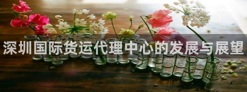 k豆钱包官网下载：深圳国际货运代理中心的发展与展望