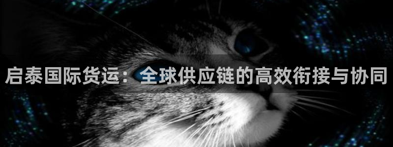 k豆钱包的用途：启泰国际货运：全球供应链的高效衔接与协同