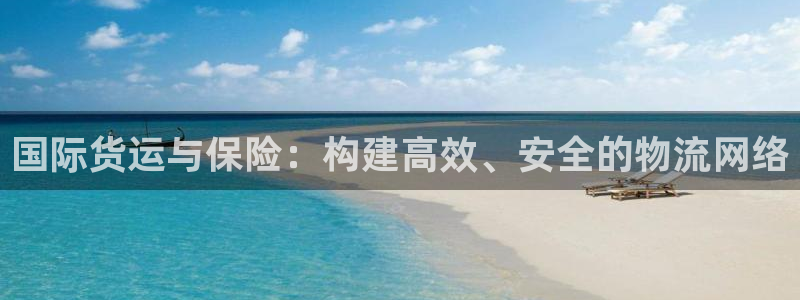 k豆钱包官网入口：国际货运与保险：构建高效、安全的物流网