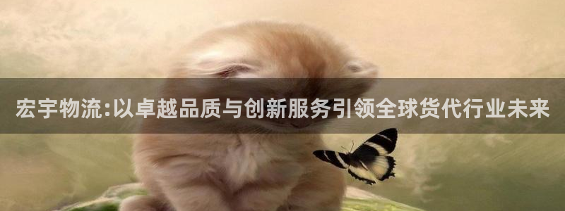 k豆钱包手：宏宇物流:以卓越品质与创新服务引领全球货代行