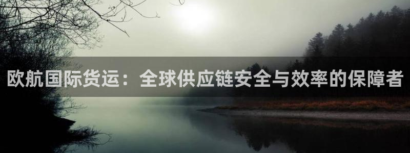 k豆钱包下载苹果：欧航国际货运：全球供应链安全与效率的保