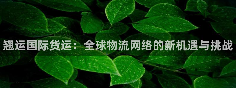 k豆钱包安全可靠吗：翘运国际货运：全球物流网络的新机遇与