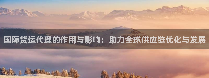 k豆钱包快捷卖豆：国际货运代理的作用与影响：助力全球供应