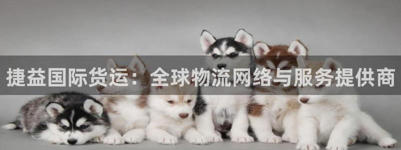 k豆钱包正确下载方式：捷益国际货运：全球物流网络与服务提