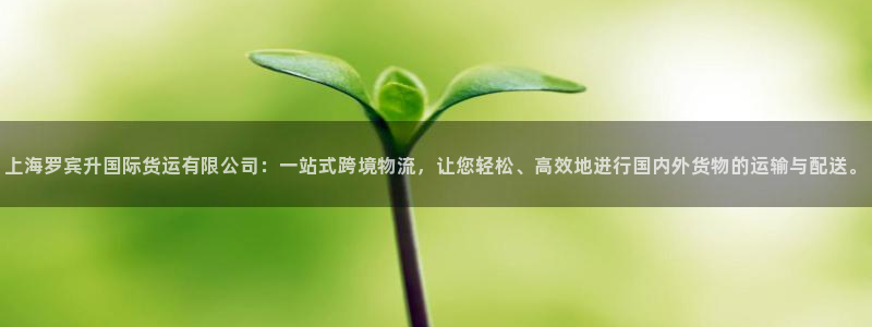 k豆钱包有啥用：上海罗宾升国际货运有限公司：一站式跨境物