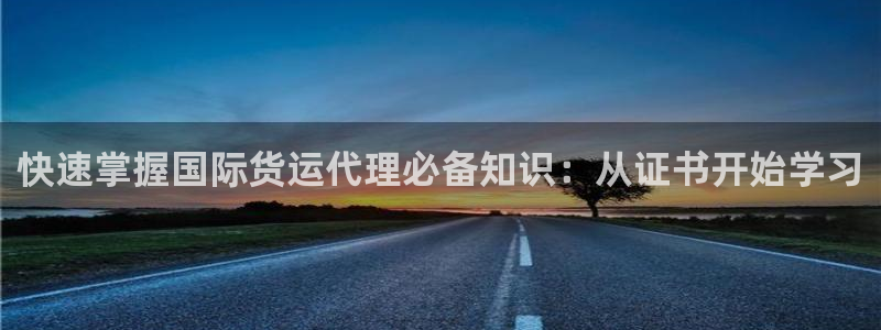 免费下载k豆钱包：快速掌握国际货运代理必备知识：从证书开