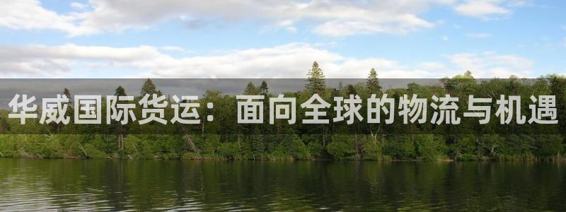 k豆钱包下载官网：华威国际货运：面向全球的物流与机遇