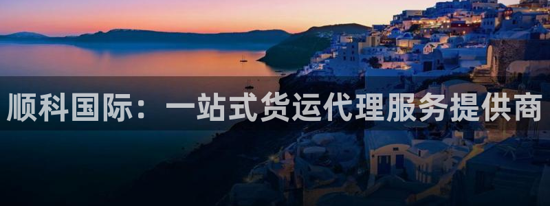 k豆钱包卖豆：顺科国际：一站式货运代理服务提供商