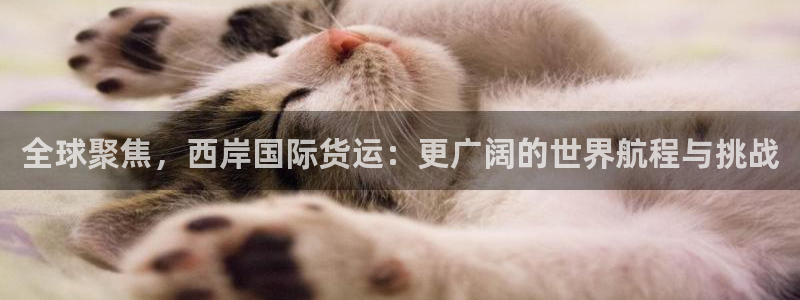 k 豆钱包 app：全球聚焦，西岸国际货运：更广阔的世界