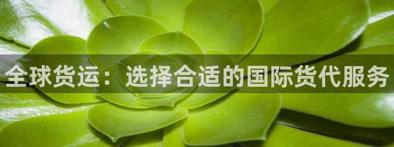 k豆钱包和购宝钱包：全球货运：选择合适的国际货代服务