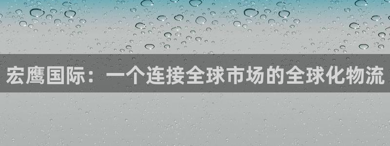 k豆钱包官网平台：宏鹰国际：一个连接全球市场的全球化物流