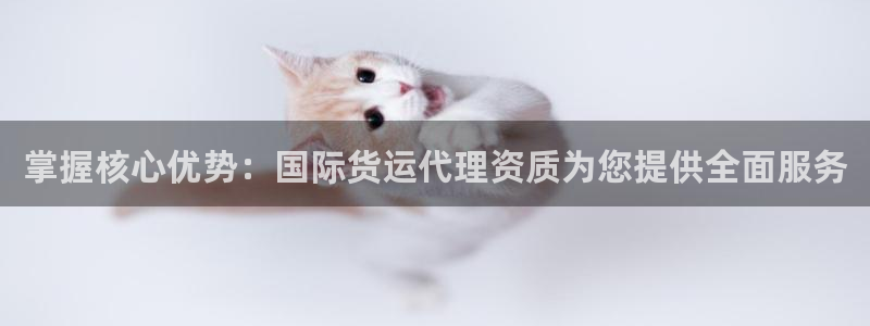 登陆k豆钱包：掌握核心优势：国际货运代理资质为您提供全面