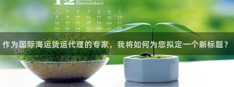 k豆钱包平台：作为国际海运货运代理的专家，我将如何为您拟