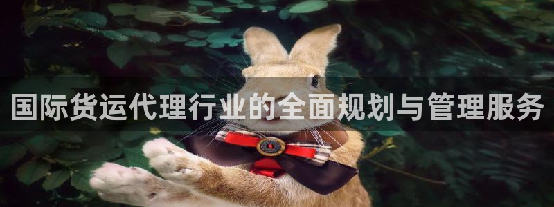 登陆k豆钱包：国际货运代理行业的全面规划与管理服务
