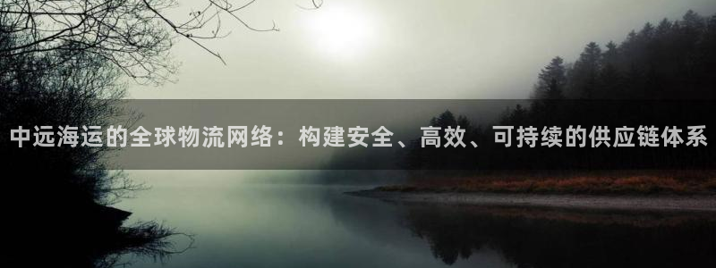 k豆钱包直接下载最新版k豆钱包：中远海运的全球物流网络：