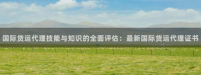k豆钱包苹果下载：国际货运代理技能与知识的全面评估：最新