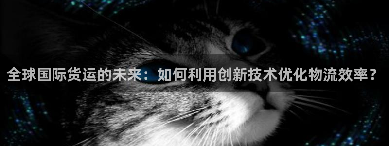 k豆钱包怎么玩的：全球国际货运的未来：如何利用创新技术优