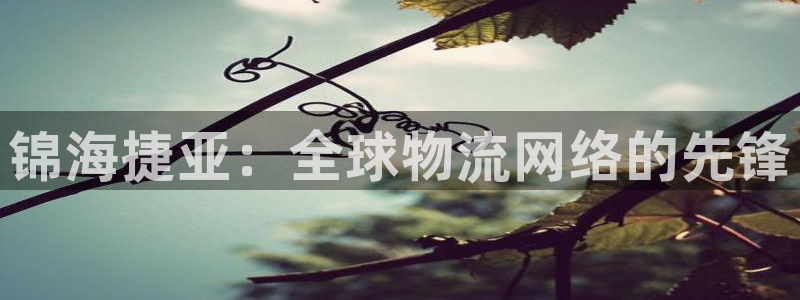 下载k豆钱包