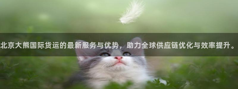 k豆钱包app官网